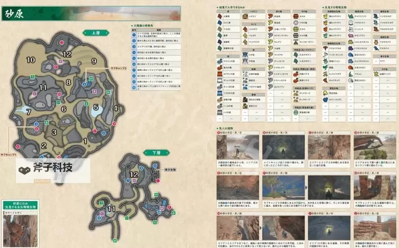 《怪物猎人荒野》悠久的大绯琥珀位置及获取方法 悠久的大绯琥珀在哪图1