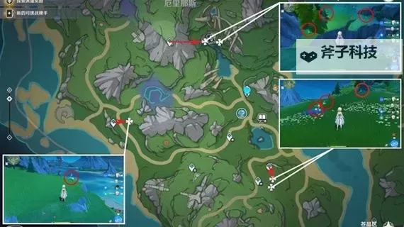 《原神》4.3夏沃蕾突破材料收集攻略 柔灯铃与发条机关路线分享图1