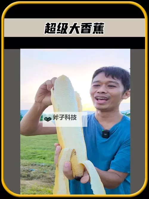 探索大香蕉gh的魅力:经典与创新的完美结合图1