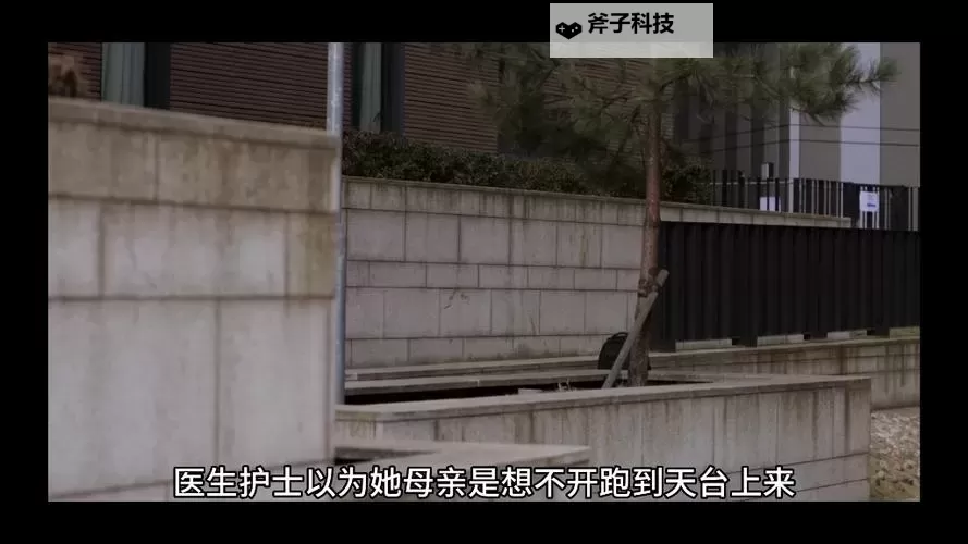 卓鹤霆与舒淮熙:携手书写未来新篇章图1