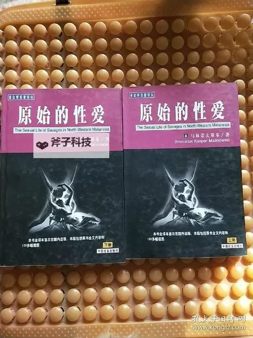 《最原始的爱全文阅读:探寻纯粹情感的深邃之旅》图1