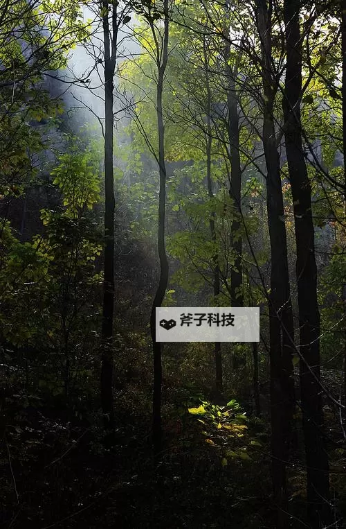 探索国产狼友宗旨在线：打造安全、真实的交友平台图1