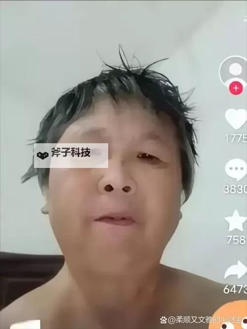 中国老太太WBBHD：老人娱乐平台新潮流的独特魅力图1