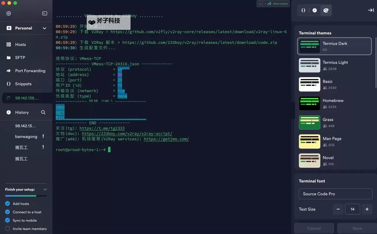 中国VPSWINDOWS助力野外农民工信息化建设的新机遇图1