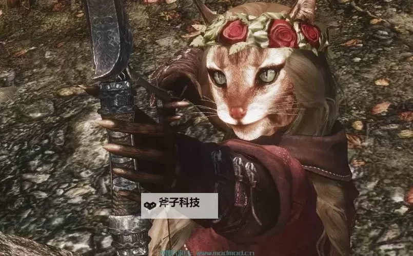 《上古卷轴5》制作独立随从图文教程 怎么制作随从图1