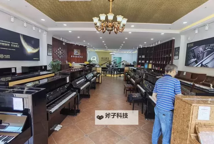 探索中国钢琴网:掌握钢琴资讯与学习资源的最佳平台图1