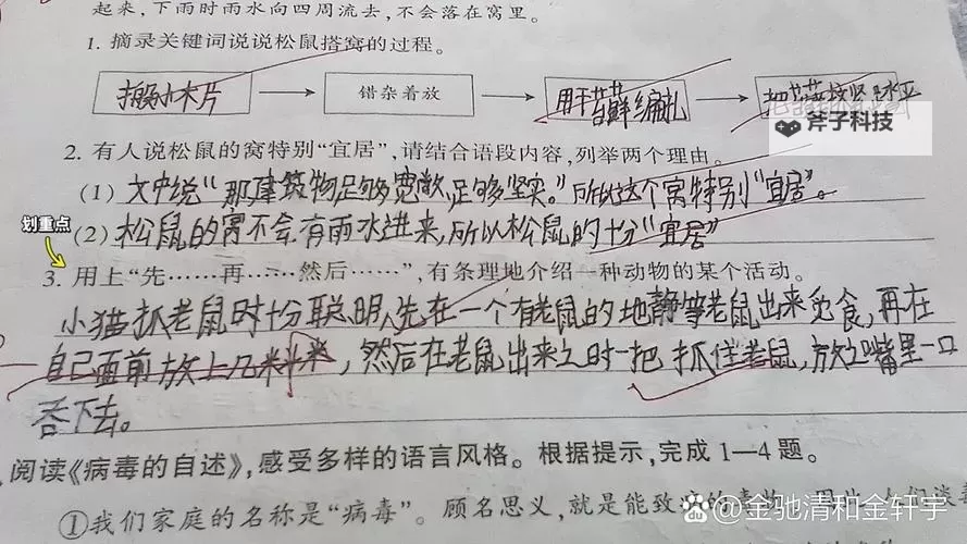 做错一题进去一次C:从挫折到突破的成长之路图1