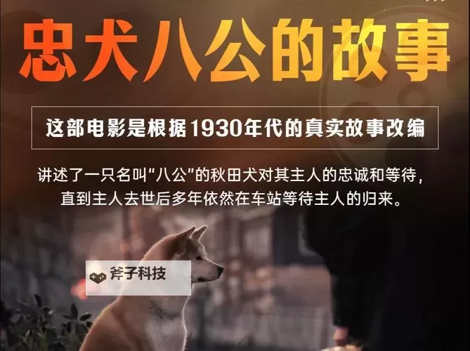 感人至深:忠犬八公的故事百度影音完整版欣赏图1