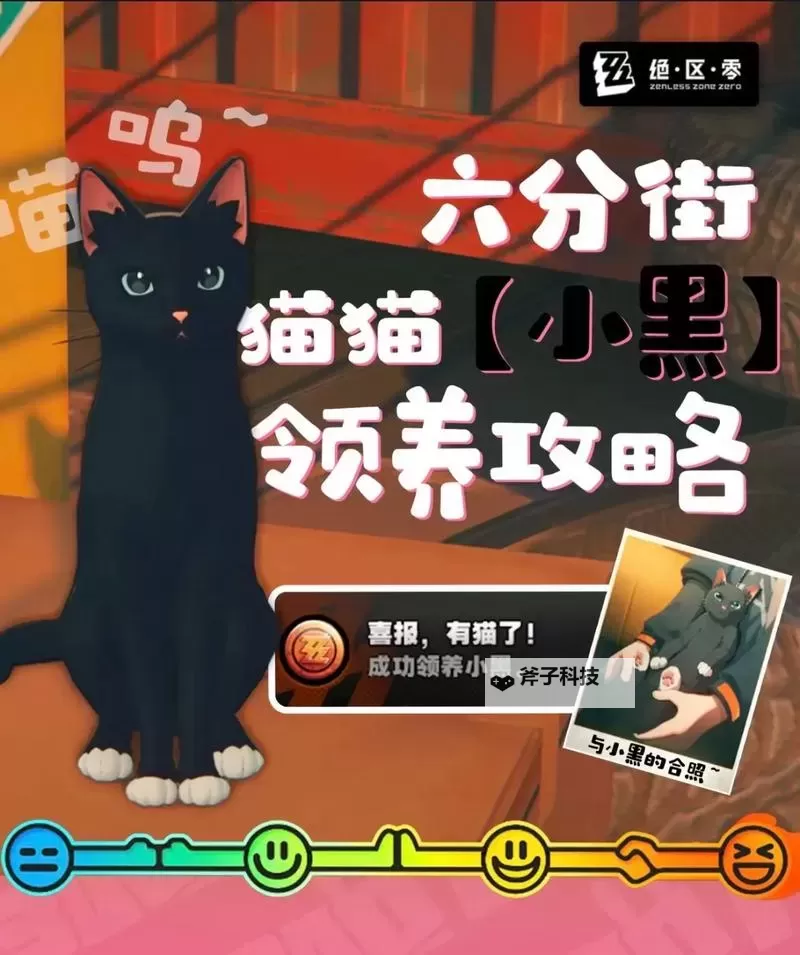 《绝区零》领养小猫攻略 六分街猫猫小黑收养教程图1