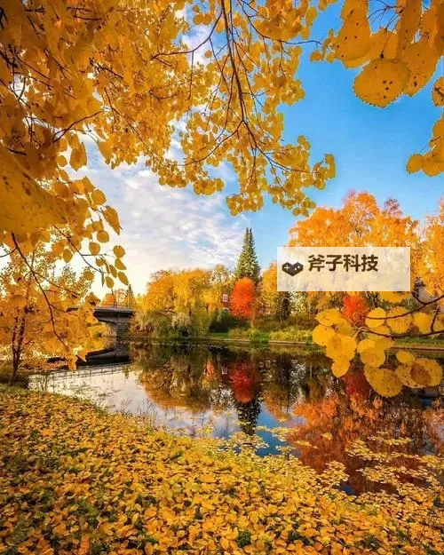 《DayZ》独立版武器百科全书 DayZ武器大全一览图2