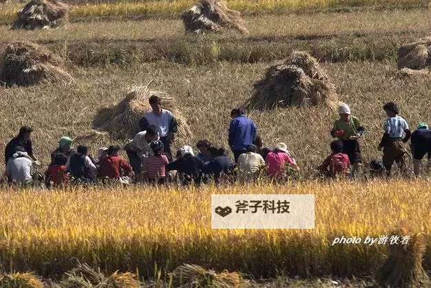 人人干人人干:共创辉煌的奋斗之路图1