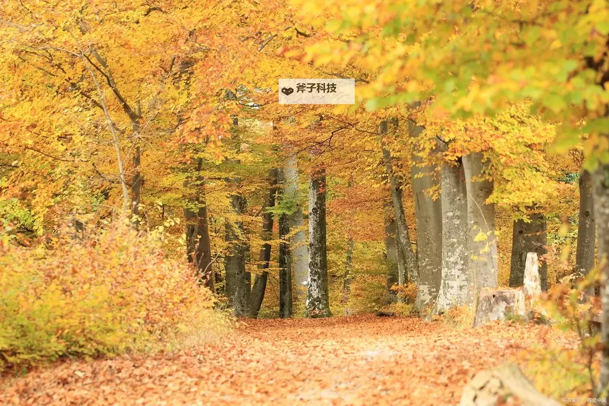 《DayZ》独立版武器百科全书 DayZ武器大全一览图1