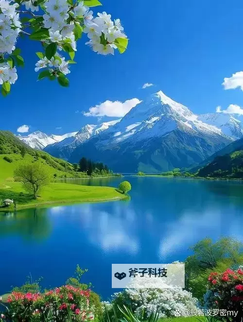 关于“91偷拍九色蝌蚪”的内容讨论及说明图1