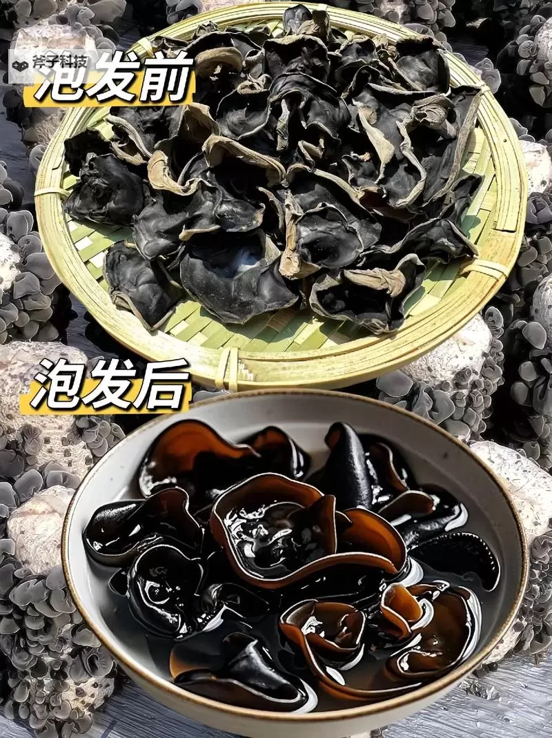 探索中国黑木耳网产业的发展与市场前景图1