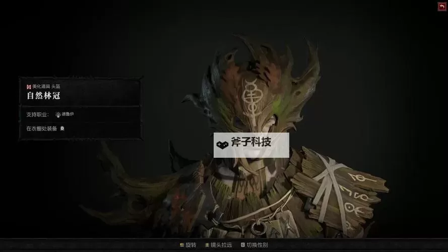 《暗黑破坏神4》公测版德鲁伊粉碎熊BD分享图1