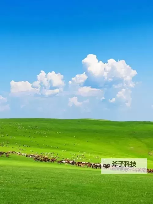 中国高清VPSWINDOWS野外:畅享户外高效云解决方案图2