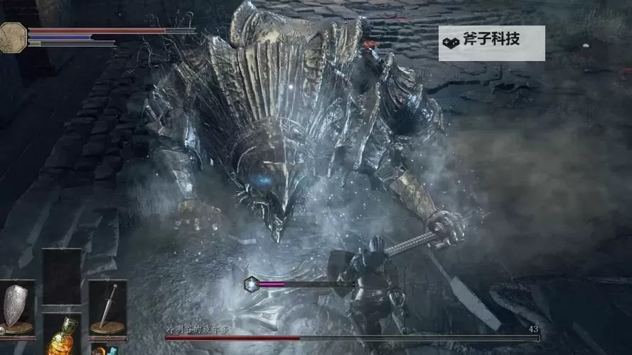 《黑暗之魂3》冷冽谷物品背景故事解析图1