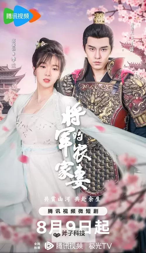 三妻四妾免费高清电视剧大全:经典佳作全网精选阅读图1