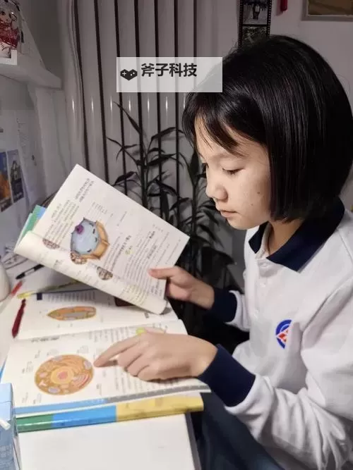 坐在教授的棒棒上背单词:双楠的奇妙学习之旅图1