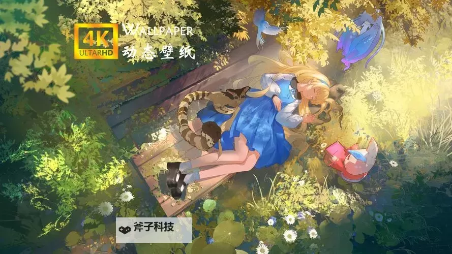 《鸣潮》菲比加点与出装、声骸搭配推荐 菲比培养攻略图2