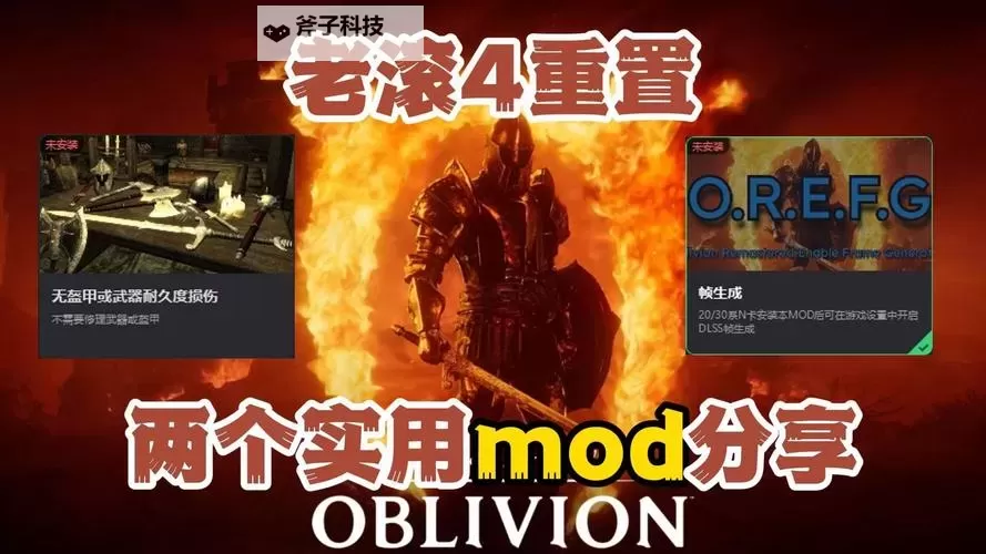 《上古卷轴4重制版》移除武器护甲耐久MOD分享图1