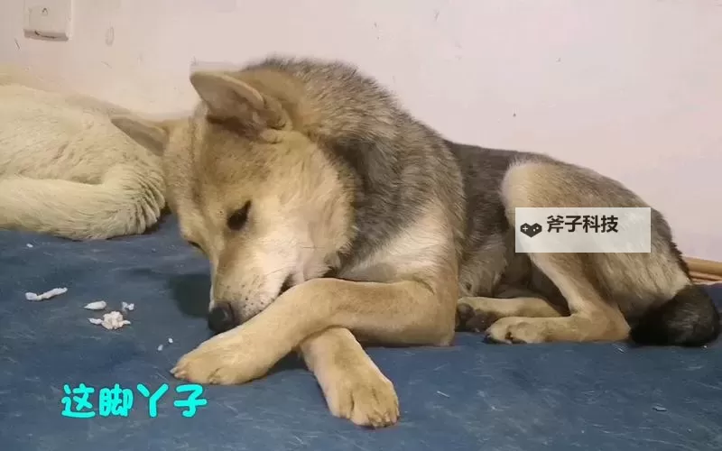 探索极致舒适：越往里越有劲舒服的体验之旅图1