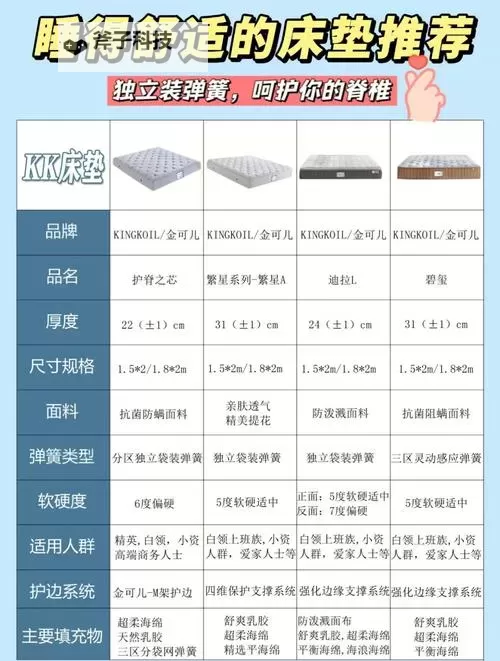 办公室可不可以干湿你的床垫免费?全面解析与注意事项图2