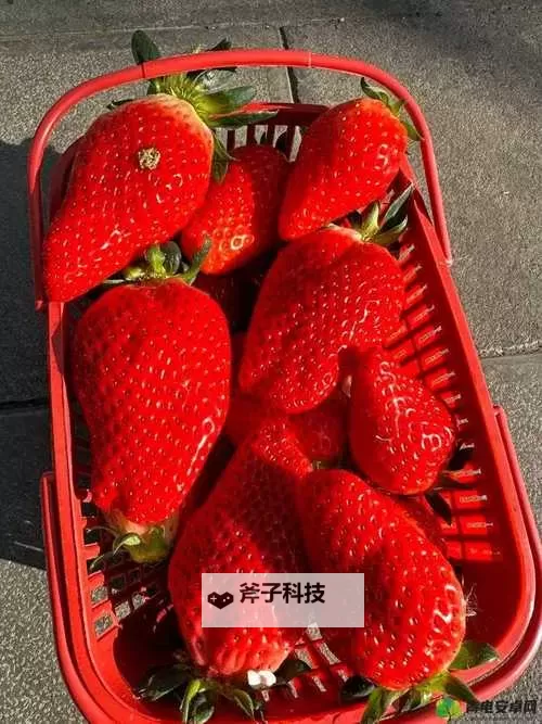 18岁青春诱惑：香蕉水蜜桃丝瓜的甜蜜时光图1