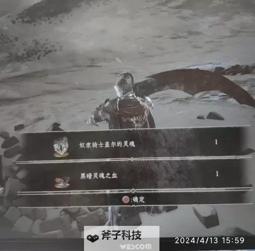 《黑暗之魂3》全BOSS图鉴介绍及打法弱点一览 BOSS大全图1