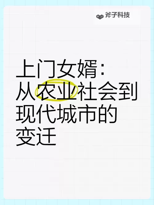 坚守与妥协：最终还是从了女婿图1