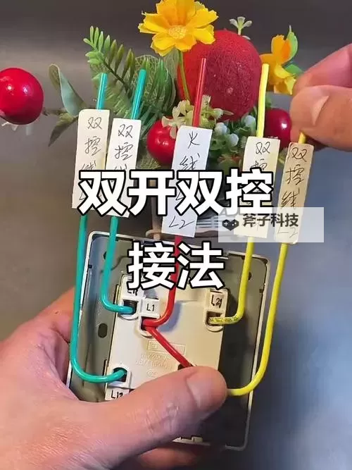 重度污染双开神器 轻松一键搞定重度污染挂机双开图1