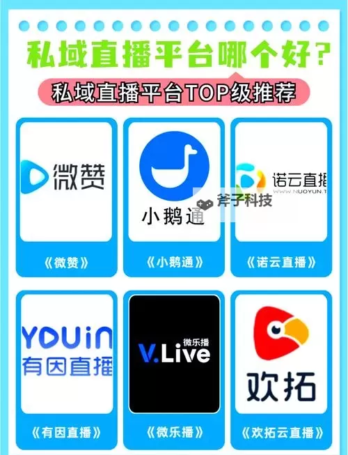 探索未来趋势:最新大尺寸度的直播平台全面解析图1