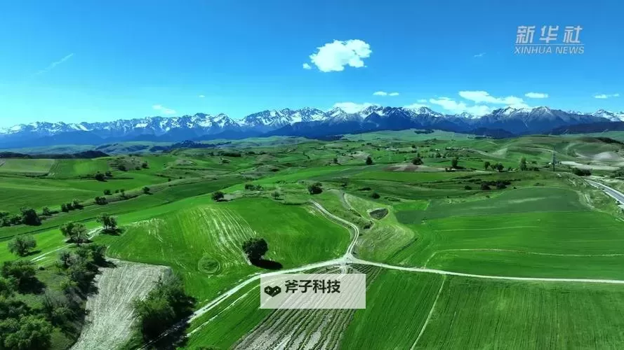 揭示大地资源免费视频的背景故事:精彩缘起与发展历程图1