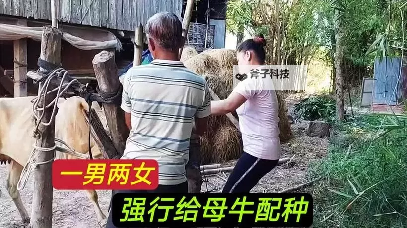 人一禽一性一交:探索生命本源的哲学思考图1