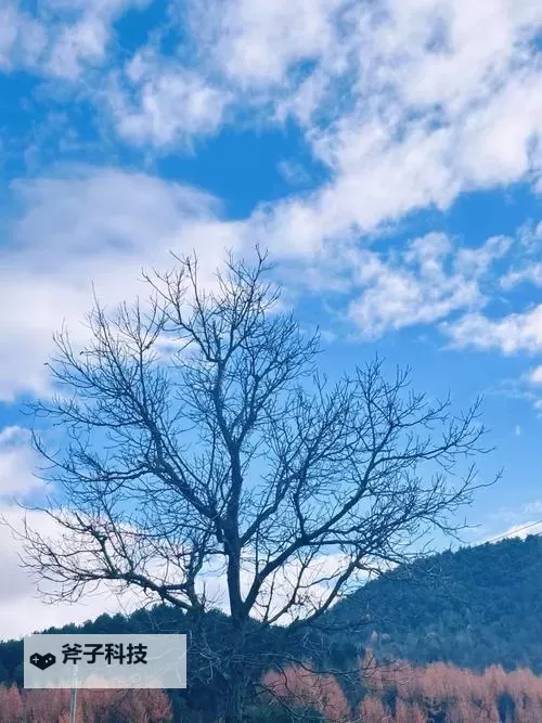 僵尸部队三部曲 黑暗军团最终Boss打法图1