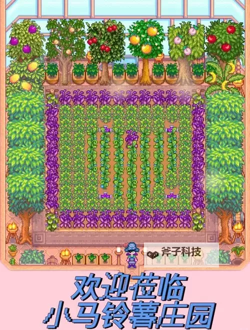 《星露谷物语》收割播种技巧图文解析 收割播种怎样一次完成图1