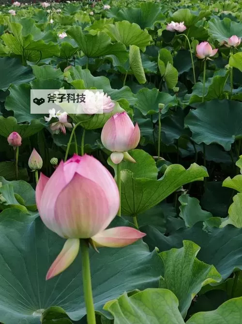 《心灵杀手2》全密码整理图1