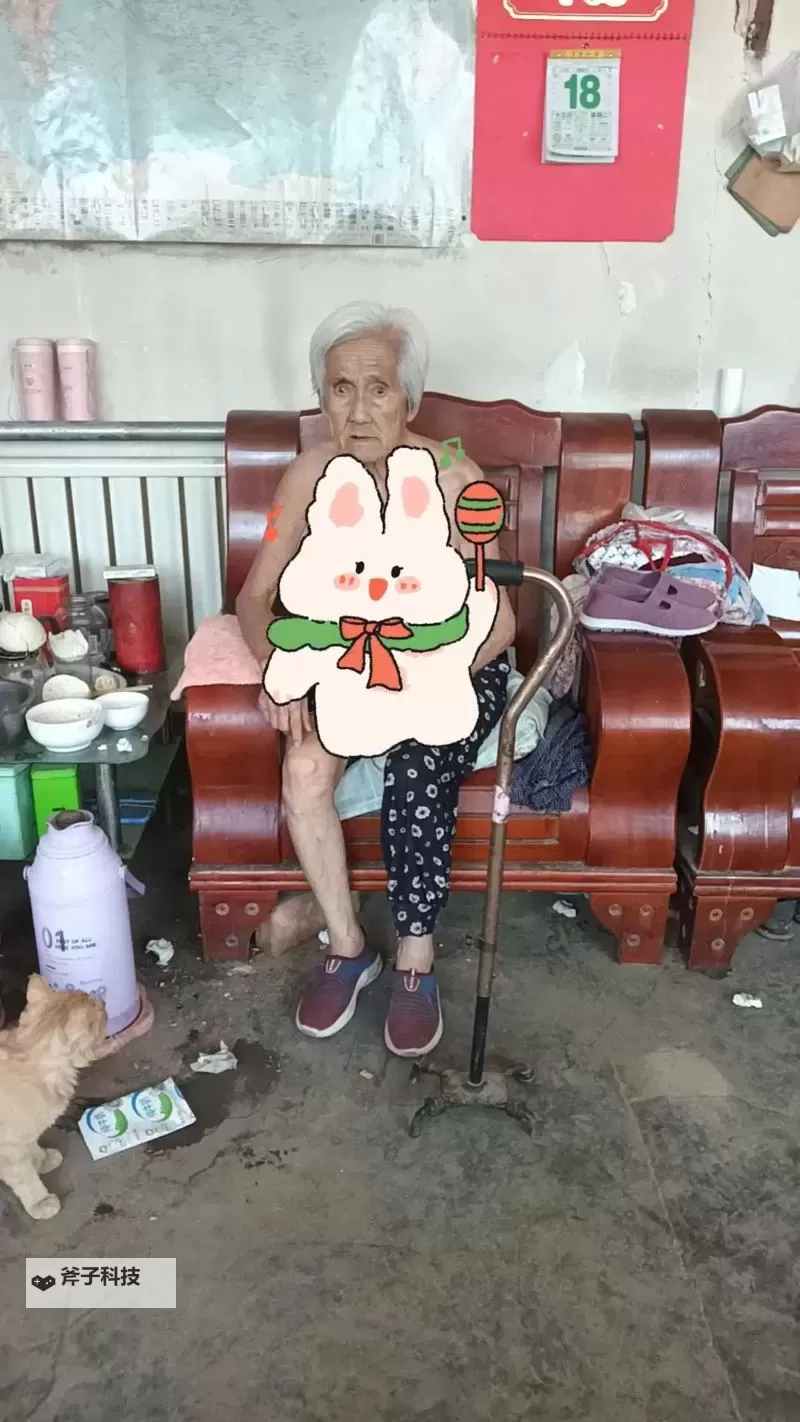 农村Chinese性老太的生活揭秘：岁月中的坚韧与智慧图1