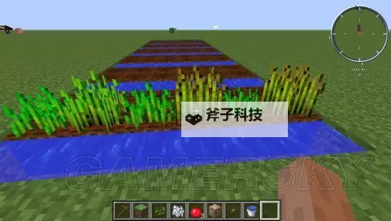 《我的世界》种植教程与技巧 怎么种地图1