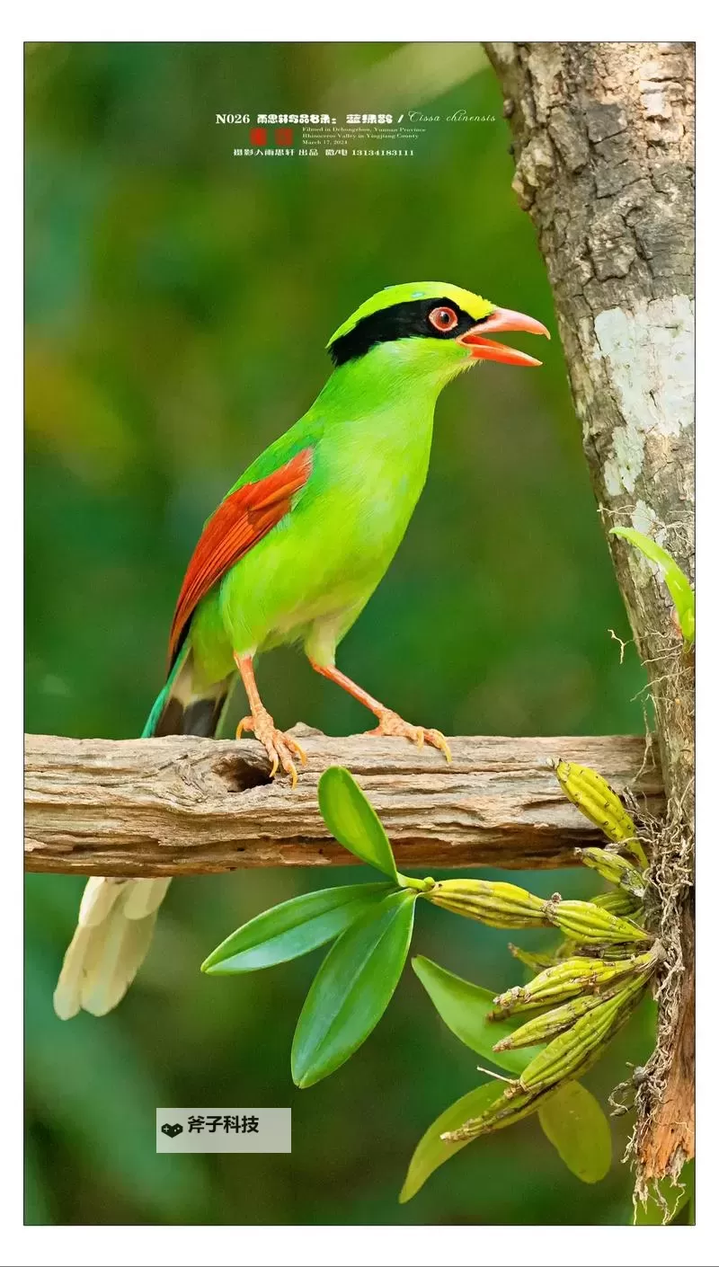 深情再现：关于「人人爽人人愛」的真情告白图1