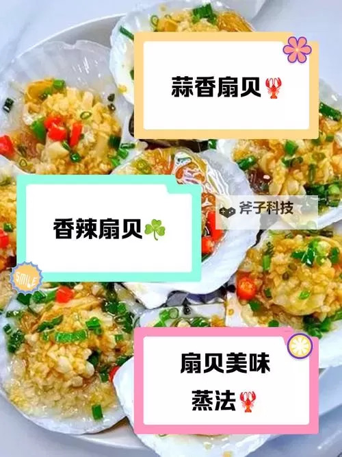 在把腿张大点我就可以吃到扇贝了:一段奇趣的海鲜之旅图1