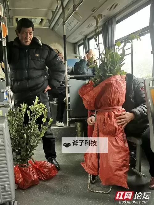 夜色中的冲动：在公交车上我们做起爱的事图1