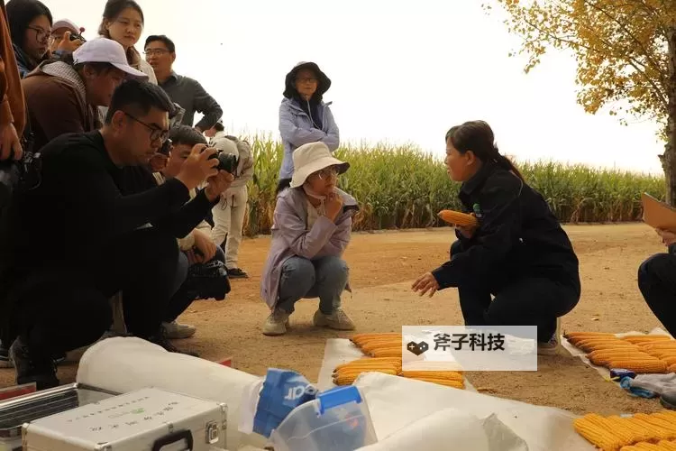 黑龙江科技在线高清观看回放：时间在屏幕上铺陈的科技长卷图1