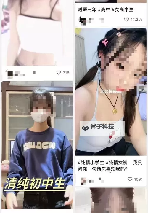 工口视频在线观看：成年向影像的边界与美学图1