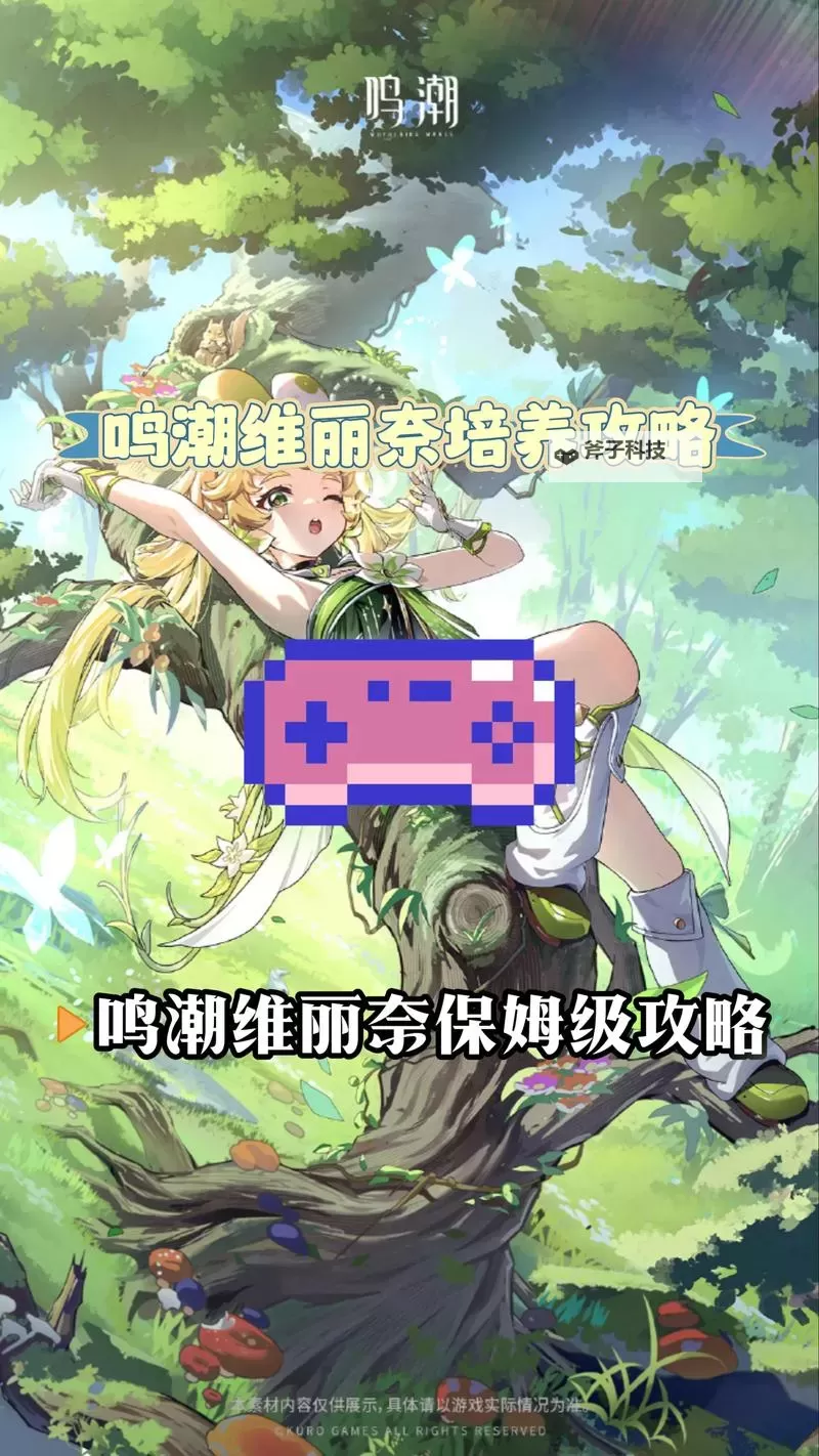 《鸣潮》维里奈养成一图流 维里奈怎么培养图1