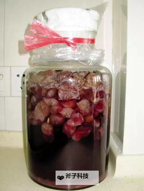 月光下的发酵与记忆：自制葡萄酒视频中的手艺回声图1