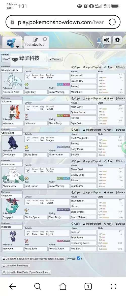 《宝可梦朱紫》冰布雪天队双打配置介绍图1