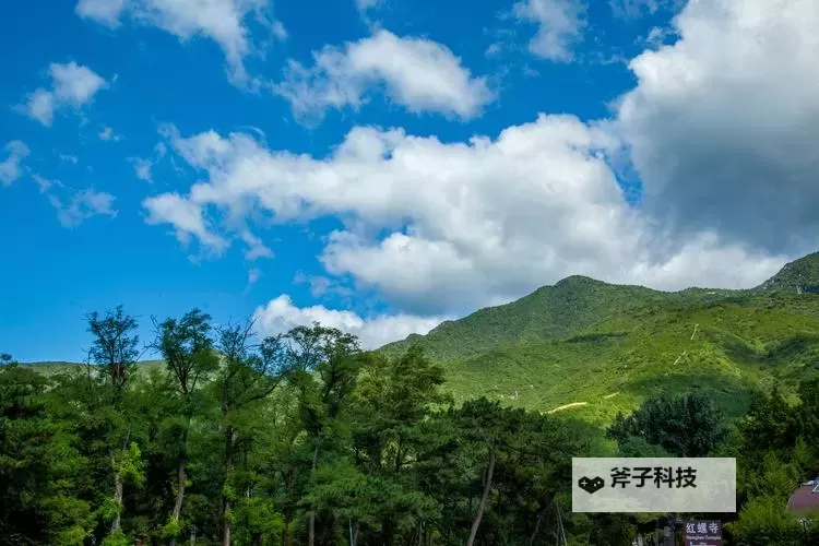 《推理学院》谁是猪头王怎么玩？谁是猪头王玩法攻略详解图1