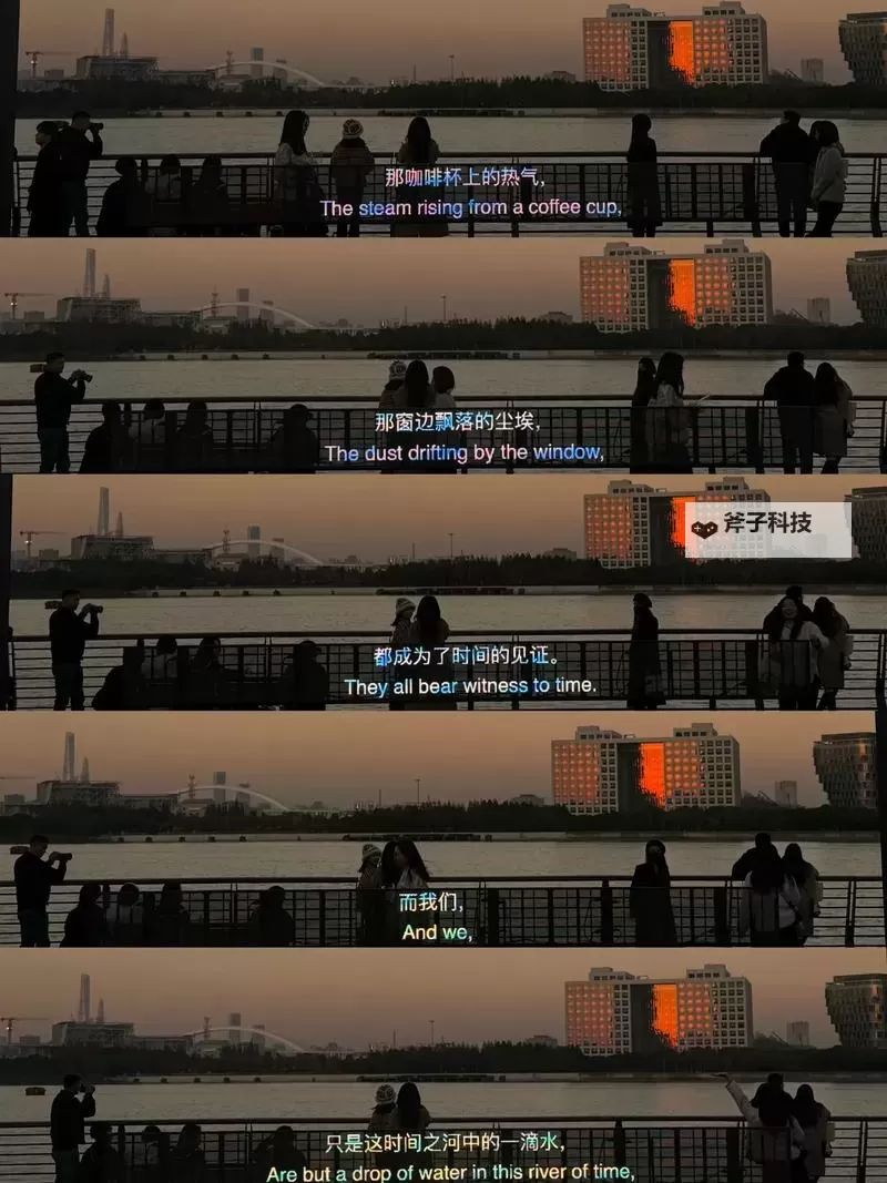 最近免费字幕中文大全：海量影视字幕资源一站式获取指南图1