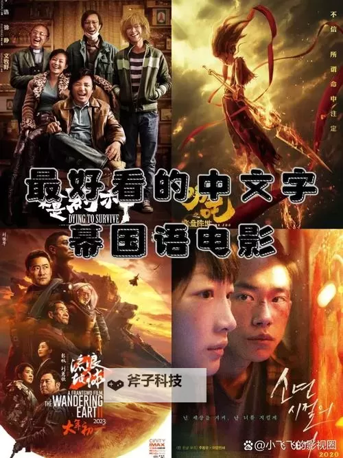 年度回顾:最好看的中文字幕2018-2019精选榜单与观影指南图1